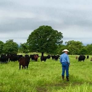 Meet your Posher, Jesse